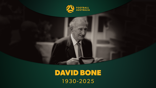Vale David Bone
